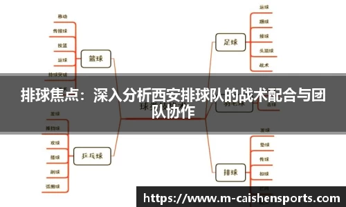 排球焦点：深入分析西安排球队的战术配合与团队协作